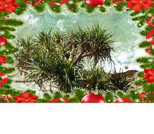 Load image into Gallery viewer, Christmas Card ~ Beach