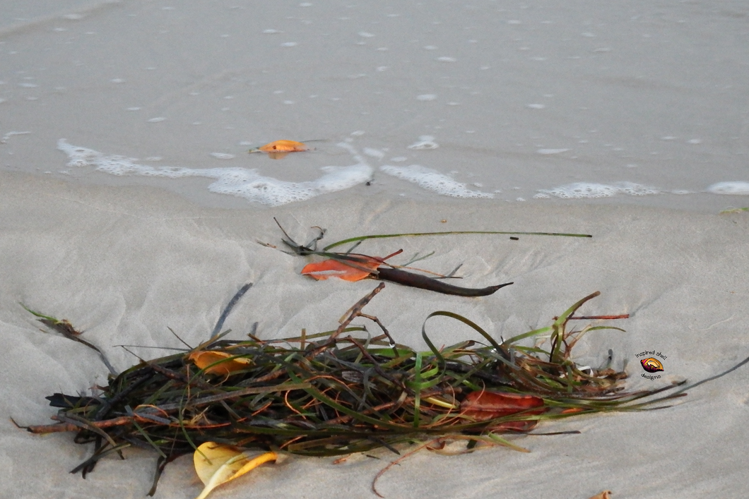 Hampton's Style Beach Canvas Art Natures Flotsam