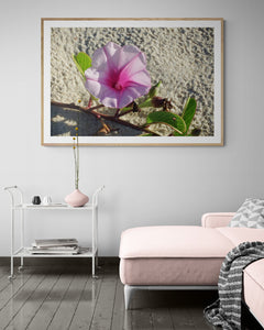 Home Decor Wall Art Beach Flower