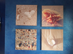 Home Decor Wall Art Beach Shells