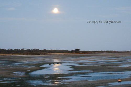 Home Decor Canvas Beach Art Full Moon Swans Dining by the Light of the Moon