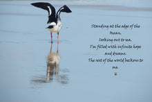 Load image into Gallery viewer, Beach Wall Art Sea Bird Flight Edge of Ocean