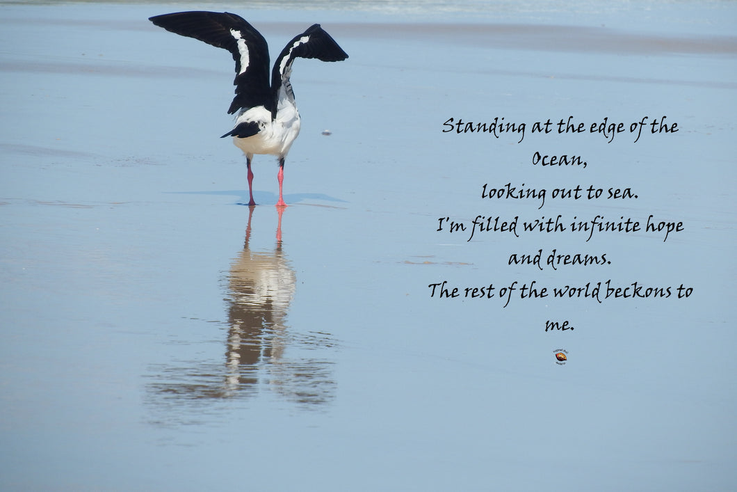 Beach Wall Art Sea Bird Flight Edge of Ocean