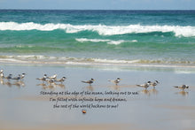 Load image into Gallery viewer, Beach Wall Art Sea Birds Inspired Words Edge of Ocean