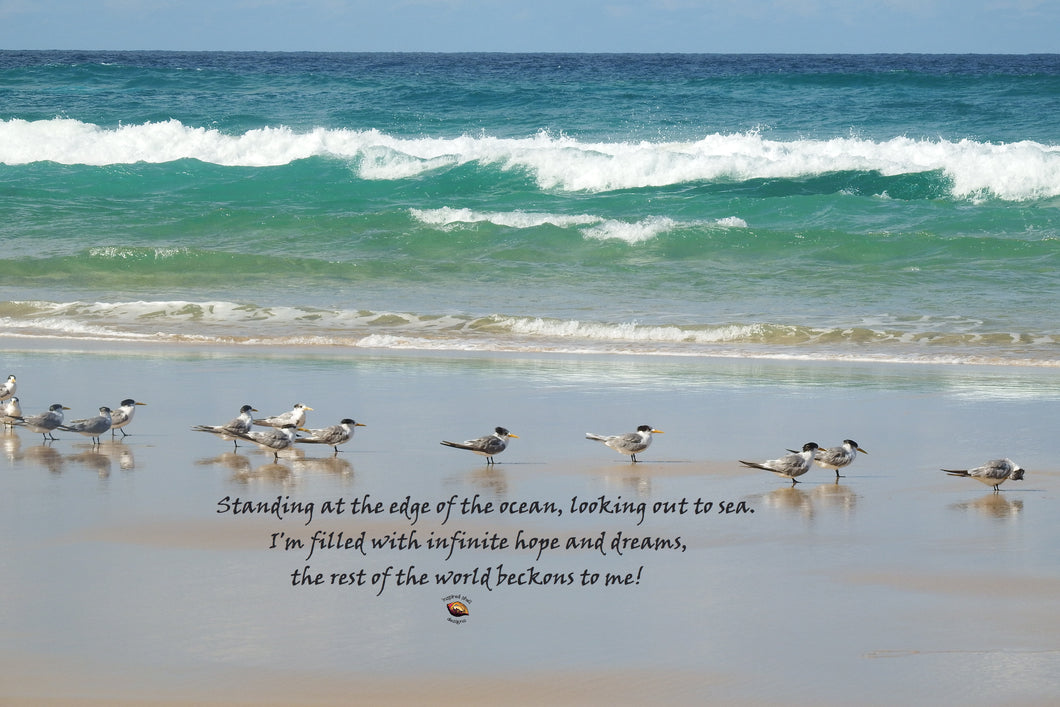 Beach Wall Art Sea Birds Inspired Words Edge of Ocean