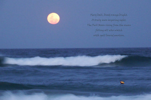 Home Decor Canvas Beach Art Full Moon Rising