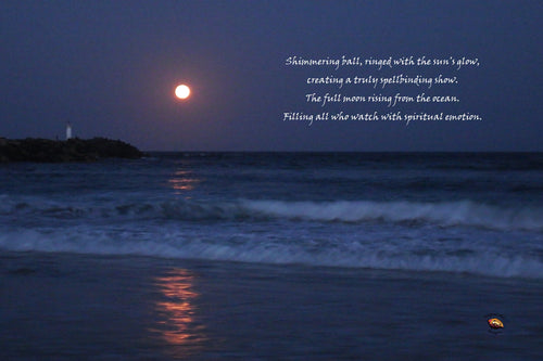 Home Decor Canvas Beach Art Full Moon Rising