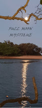 Load image into Gallery viewer, Home Decor Canvas Beach Art Full Moon Tooway Creek