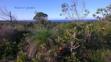 Load image into Gallery viewer, Beach Garden Natural