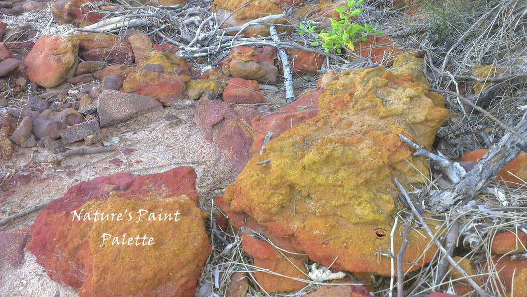 Beach Rocks Yellow, Brown/Red Nature's Paint Palette