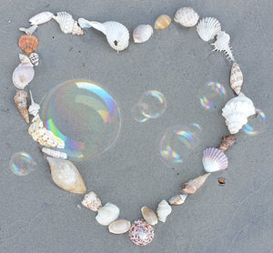 Customise your Heart of Shells