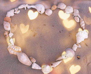 Customise your Heart of Shells