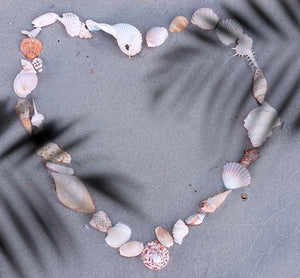 Customise your Heart of Shells