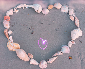 Customise your Heart of Shells