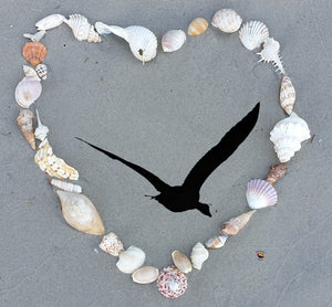 Customise your Heart of Shells