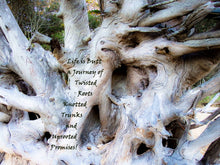 Load image into Gallery viewer, Home Decor Wall Art Tree Twisted Roots