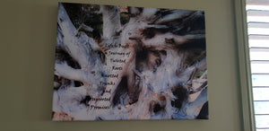 Home Decor Wall Art Tree Twisted Roots